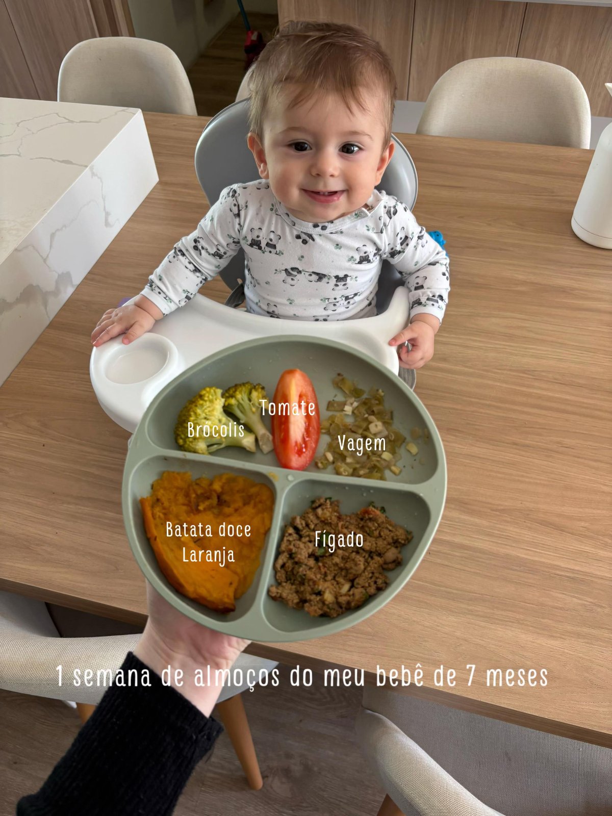 Almoço do bebê (7 meses)